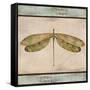 JP1069_Dragonfly Tapestry-Jean Plout-Framed Stretched Canvas