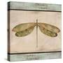 JP1069_Dragonfly Tapestry-Jean Plout-Stretched Canvas