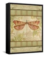 JP1092_Dragonfly Among The Ferns-Jean Plout-Framed Stretched Canvas