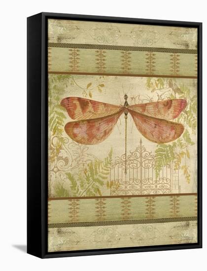 JP1092_Dragonfly Among The Ferns-Jean Plout-Framed Stretched Canvas