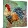 JP1182_Le Rooster-B-Jean Plout-Mounted Giclee Print