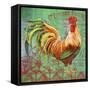 JP1183_Le Rooster-A-Jean Plout-Framed Stretched Canvas