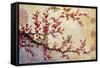 JP1451-Butterfly Blossoms-Asian-Jean Plout-Framed Stretched Canvas