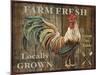 JP2127_Farm Fresh-Jean Plout-Mounted Giclee Print