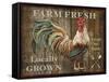 JP2127_Farm Fresh-Jean Plout-Framed Stretched Canvas