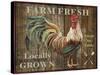 JP2127_Farm Fresh-Jean Plout-Stretched Canvas