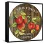 JP2135_Farm Fresh-Jean Plout-Framed Stretched Canvas
