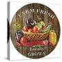 JP2138_Farm Fresh-Jean Plout-Stretched Canvas