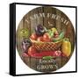 JP2138_Farm Fresh-Jean Plout-Framed Stretched Canvas