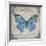 JP2154_Bleu Papillon-B-Jean Plout-Framed Giclee Print