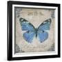 JP2154_Bleu Papillon-B-Jean Plout-Framed Giclee Print