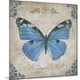 JP2154_Bleu Papillon-B-Jean Plout-Mounted Giclee Print