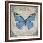 JP2154_Bleu Papillon-B-Jean Plout-Framed Giclee Print