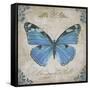 JP2154_Bleu Papillon-B-Jean Plout-Framed Stretched Canvas