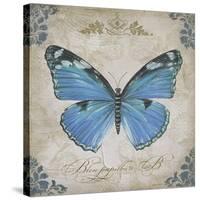 JP2154_Bleu Papillon-B-Jean Plout-Stretched Canvas