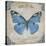 JP2154_Bleu Papillon-B-Jean Plout-Stretched Canvas