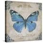 JP2154_Bleu Papillon-B-Jean Plout-Stretched Canvas