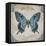 JP2155_Bleu Papillon-C-Jean Plout-Framed Stretched Canvas