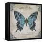 JP2155_Bleu Papillon-C-Jean Plout-Framed Stretched Canvas