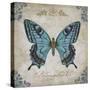 JP2155_Bleu Papillon-C-Jean Plout-Stretched Canvas