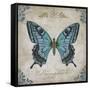 JP2155_Bleu Papillon-C-Jean Plout-Framed Stretched Canvas