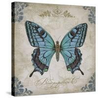 JP2155_Bleu Papillon-C-Jean Plout-Stretched Canvas