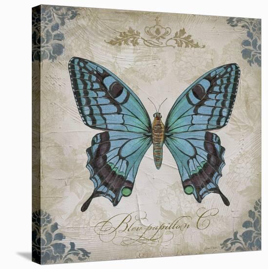 JP2155_Bleu Papillon-C-Jean Plout-Stretched Canvas