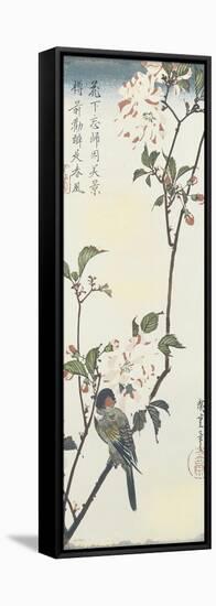 JP2171_Vintage Asian Blossoms-A-Jean Plout-Framed Stretched Canvas