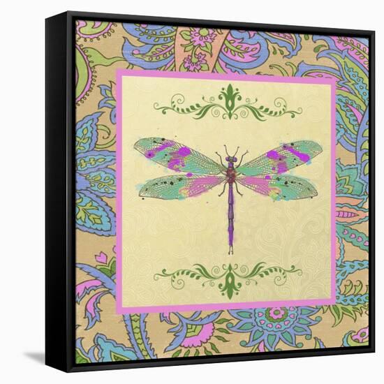 JP2339_Paisley Madness-B-Jean Plout-Framed Stretched Canvas
