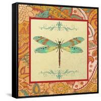 JP2342_Paisley Madness-E-Jean Plout-Framed Stretched Canvas