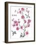 JP2365_Cherry Blossom_Beautiflul_Birds-Jean Plout-Framed Giclee Print