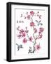 JP2365_Cherry Blossom_Beautiflul_Birds-Jean Plout-Framed Giclee Print