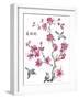 JP2365_Cherry Blossom_Beautiflul_Birds-Jean Plout-Framed Giclee Print