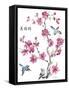 JP2365_Cherry Blossom_Beautiflul_Birds-Jean Plout-Framed Stretched Canvas