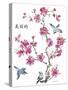 JP2365_Cherry Blossom_Beautiflul_Birds-Jean Plout-Stretched Canvas