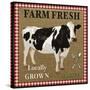 JP2381_Farm Fresh-Cow-Jean Plout-Stretched Canvas