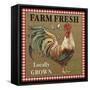 JP2382_Farm Fresh-Rooster-Jean Plout-Framed Stretched Canvas
