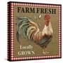 JP2382_Farm Fresh-Rooster-Jean Plout-Stretched Canvas