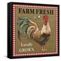 JP2382_Farm Fresh-Rooster-Jean Plout-Framed Stretched Canvas