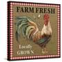 JP2382_Farm Fresh-Rooster-Jean Plout-Stretched Canvas