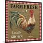 JP2382_Farm Fresh-Rooster-Jean Plout-Mounted Giclee Print