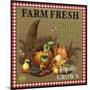 JP2384_Farm Fresh-Cornicopia-Jean Plout-Mounted Giclee Print