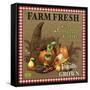 JP2384_Farm Fresh-Cornicopia-Jean Plout-Framed Stretched Canvas