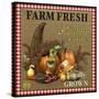 JP2384_Farm Fresh-Cornicopia-Jean Plout-Stretched Canvas