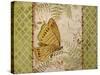 JP2496-Vintage Wings-Jean Plout-Stretched Canvas