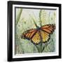 JP2543-Botanical Beauties-Jean Plout-Framed Giclee Print