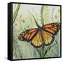 JP2543-Botanical Beauties-Jean Plout-Framed Stretched Canvas