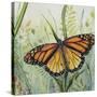 JP2543-Botanical Beauties-Jean Plout-Stretched Canvas