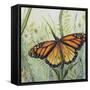 JP2543-Botanical Beauties-Jean Plout-Framed Stretched Canvas