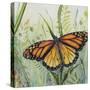 JP2543-Botanical Beauties-Jean Plout-Stretched Canvas